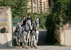 romantische Wien Rundfahrten im Fiaker